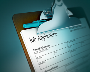 Job Description