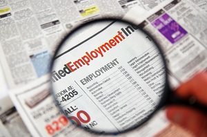 Job Hunt Minimal Experience